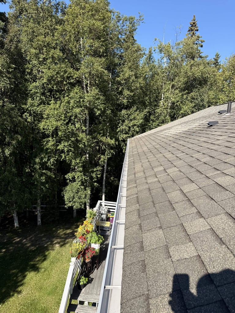 Angled view of a gray shingled roof edge with white gutter overlooking dense green forest and blue sky